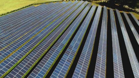 Solarleistung in Deutschland steigt 2024 auf rund 100.000 MW