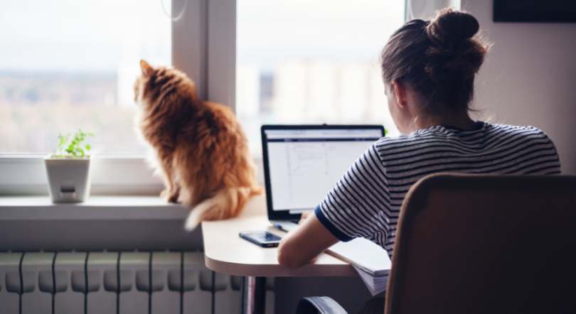 Frau im Homeoffice, Katze auf der Heizung. Bitkom vermutet, dass mehr Leute im Homeoffice arbeiten werden.